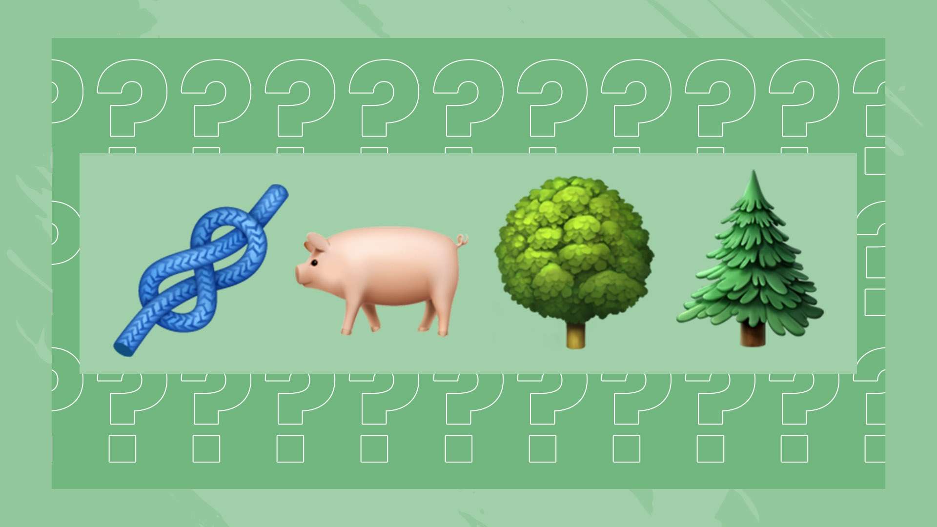 中超赛事直播：即时更新比赛动态